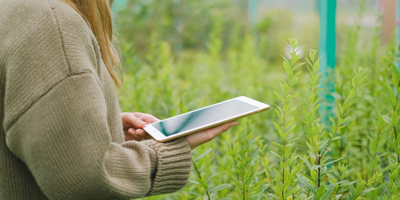 Tecnología de control de temperatura en zona de raíces en plantas